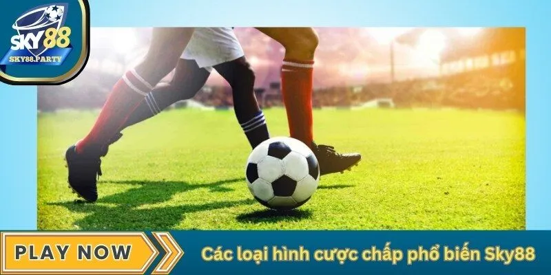 Các loại hình cược chấp phổ biến Sky88