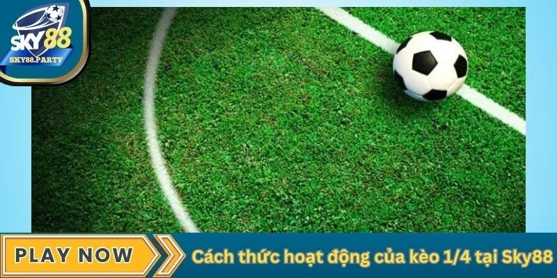 Cách thức hoạt động của kèo 1/4 tại Sky88