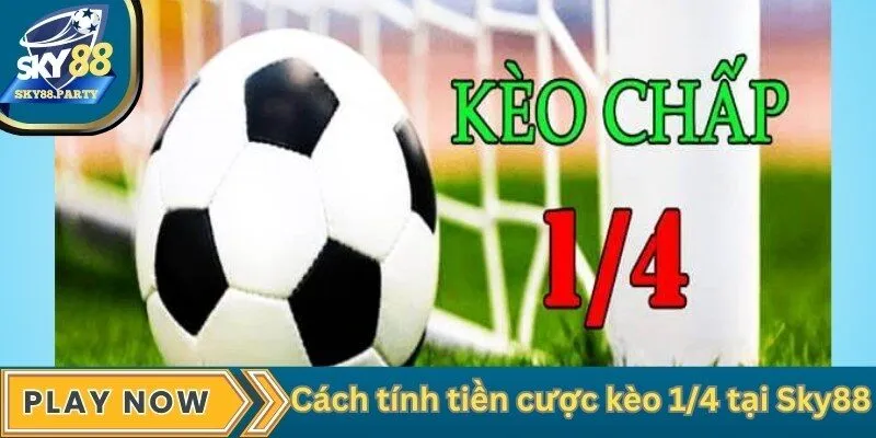 Cách tính tiền cược kèo 1/4 tại Sky88