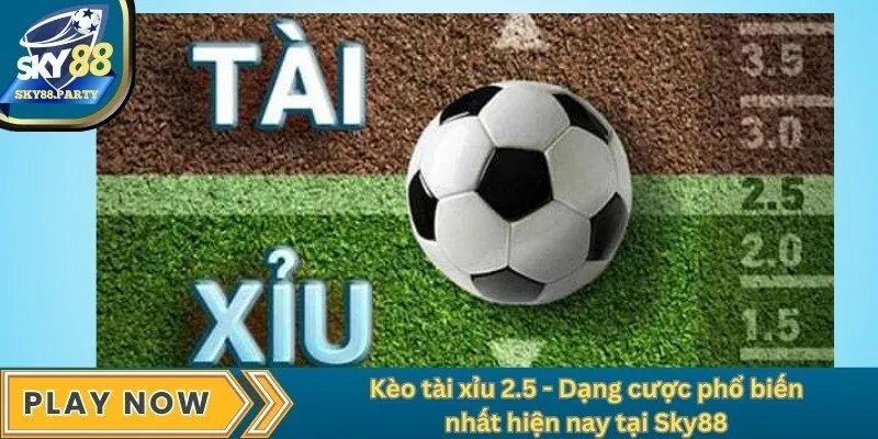 Kèo tài xỉu 2.5 - Dạng cược phổ biến nhất hiện nay tại Sky88