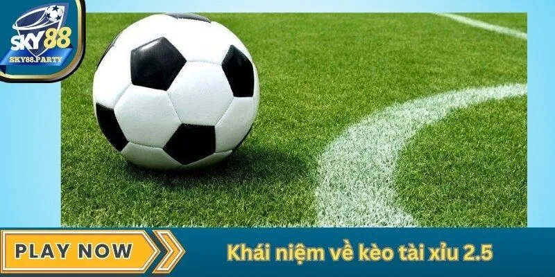 Khái niệm về kèo tài xỉu 2.5