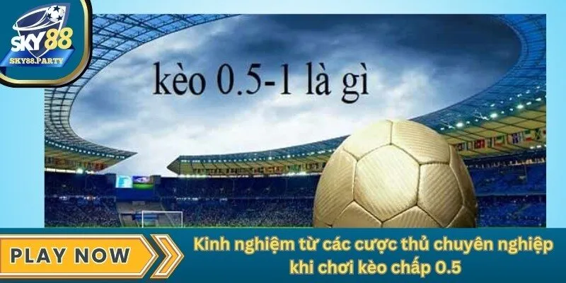 Kinh nghiệm từ các cược thủ chuyên nghiệp khi chơi kèo chấp 0.5