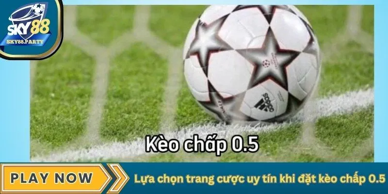 Lựa chọn trang cược uy tín khi đặt kèo chấp 0.5