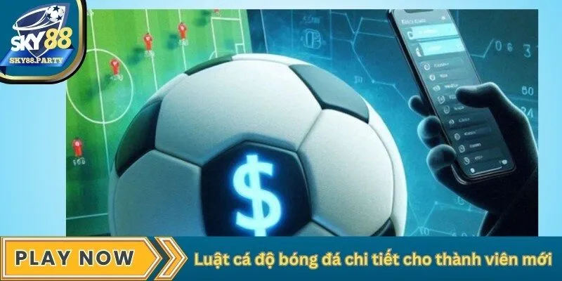 Luật cá độ bóng đá chi tiết cho thành viên mới