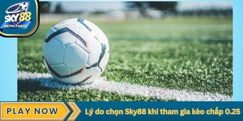 Lý do chọn Sky88 khi tham gia kèo chấp 0.25