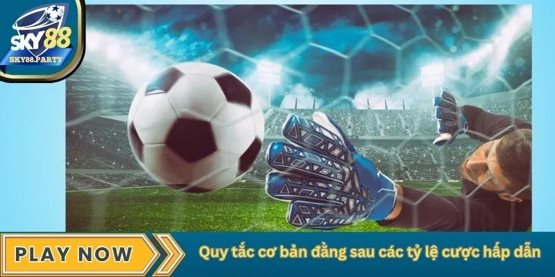 Quy tắc cơ bản đằng sau các tỷ lệ cược hấp dẫn