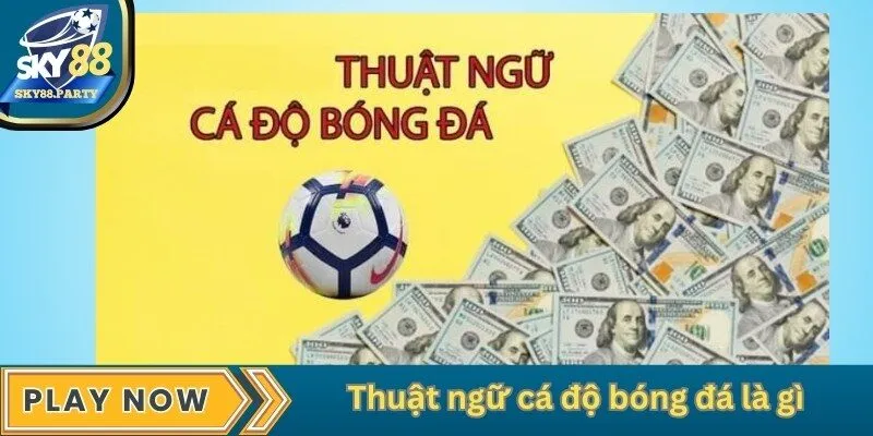 Thuật ngữ cá độ bóng đá là gì?