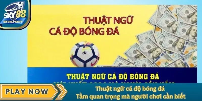 Thuật ngữ cá độ bóng đá - Tầm quan trọng người chơi cần biết