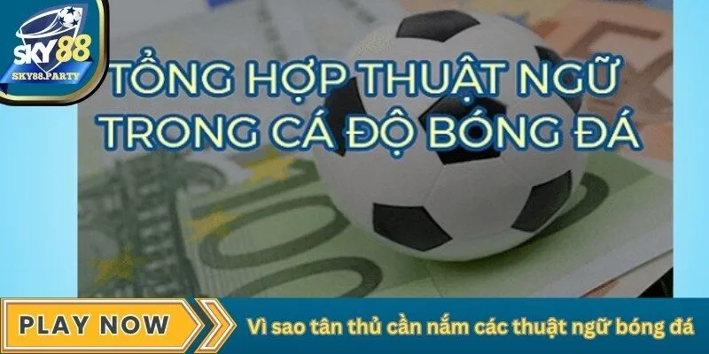 Vì sao tân thủ cần nắm các thuật ngữ bóng đá